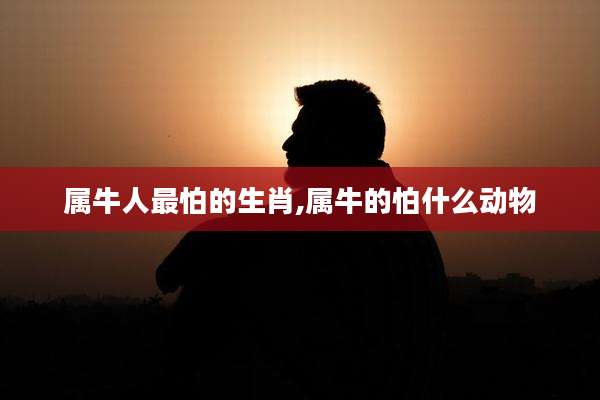 属牛人最怕的生肖,属牛的怕什么动物