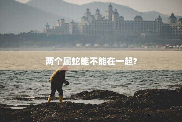 两个属蛇能不能在一起?