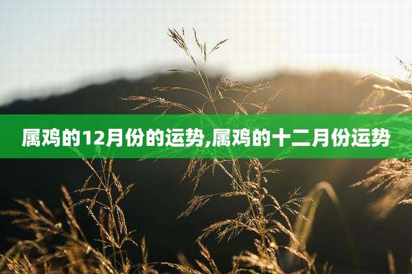 属鸡的12月份的运势,属鸡的十二月份运势