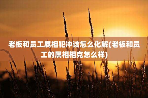 老板和员工属相犯冲该怎么化解(老板和员工的属相相克怎么样)