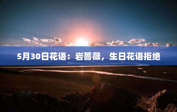 5月30日花语：岩蔷薇，生日花语拒绝
