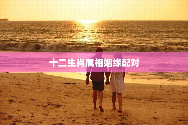 十二生肖属相姻缘配对