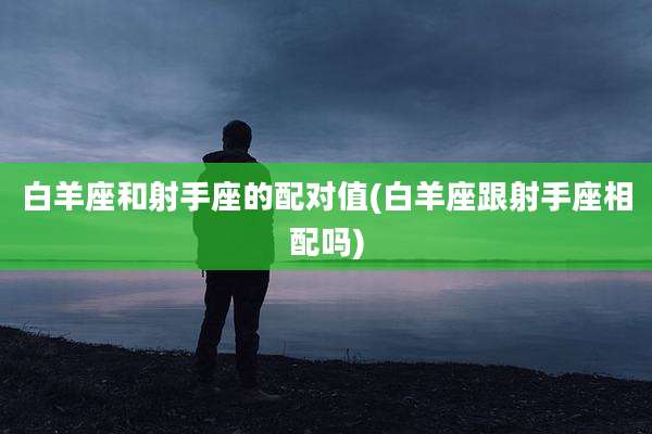 白羊座和射手座的配对值(白羊座跟射手座相配吗)