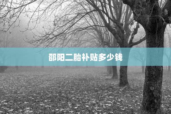 邵阳二胎补贴多少钱