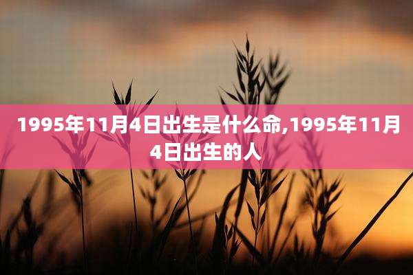 1995年11月4日出生是什么命,1995年11月4日出生的人