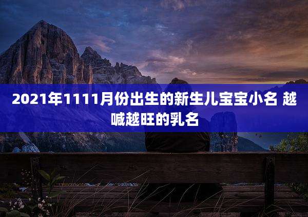 2021年1111月份出生的新生儿宝宝小名 越喊越旺的乳名