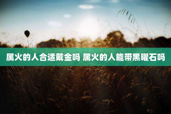 属火的人合适戴金吗 属火的人能带黑曜石吗