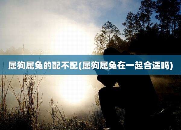 属狗属兔的配不配(属狗属兔在一起合适吗)