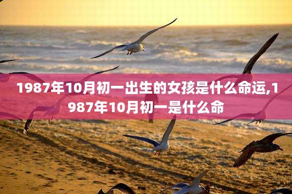 1987年10月初一出生的女孩是什么命运,1987年10月初一是什么命