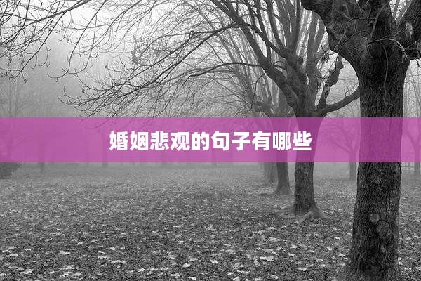 婚姻悲观的句子有哪些