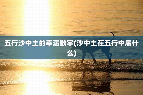 五行沙中土的幸运数字(沙中土在五行中属什么)