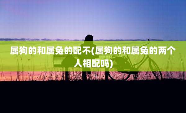 属狗的和属兔的配不(属狗的和属兔的两个人相配吗)