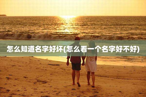 怎么知道名字好坏(怎么看一个名字好不好)