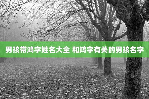 男孩带鸿字姓名大全 和鸿字有关的男孩名字