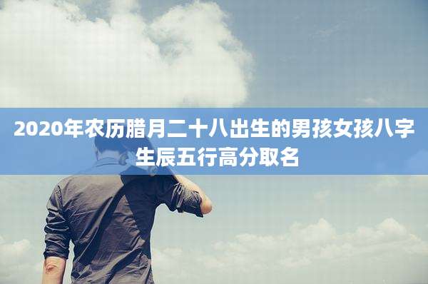 2020年农历腊月二十八出生的男孩女孩八字 生辰五行高分取名