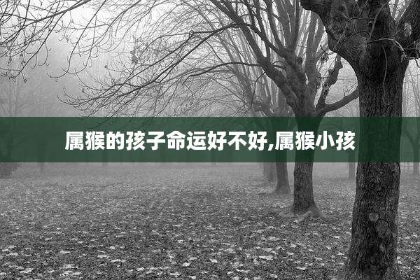 属猴的孩子命运好不好,属猴小孩