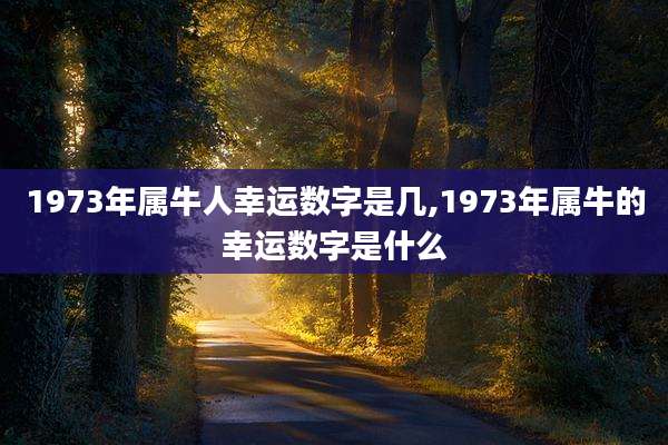 1973年属牛人幸运数字是几,1973年属牛的幸运数字是什么