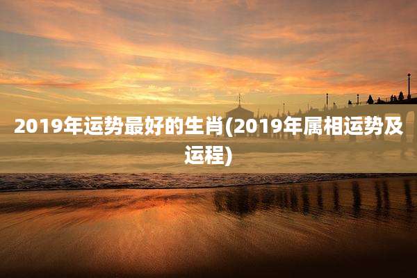 2019年运势最好的生肖(2019年属相运势及运程)