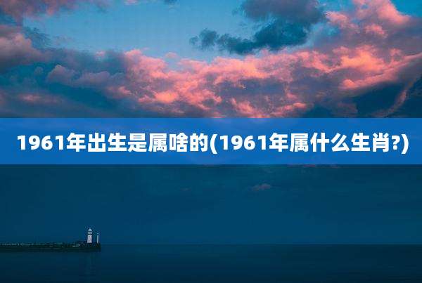 1961年出生是属啥的(1961年属什么生肖?)