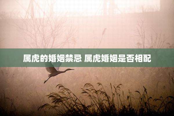属虎的婚姻禁忌 属虎婚姻是否相配