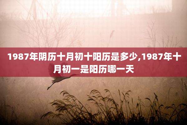 1987年阴历十月初十阳历是多少,1987年十月初一是阳历哪一天