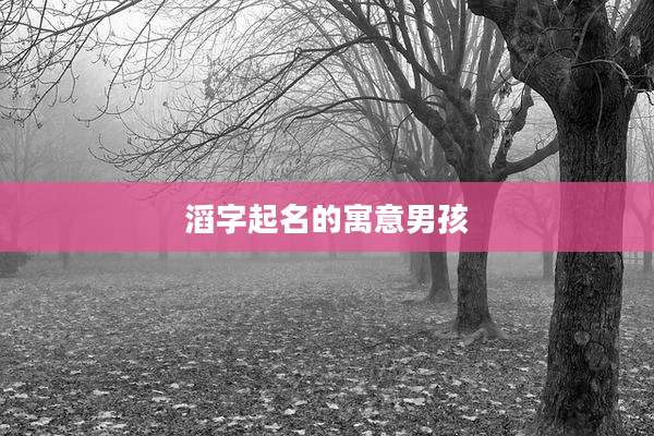 滔字起名的寓意男孩