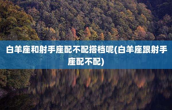 白羊座和射手座配不配搭档呢(白羊座跟射手座配不配)