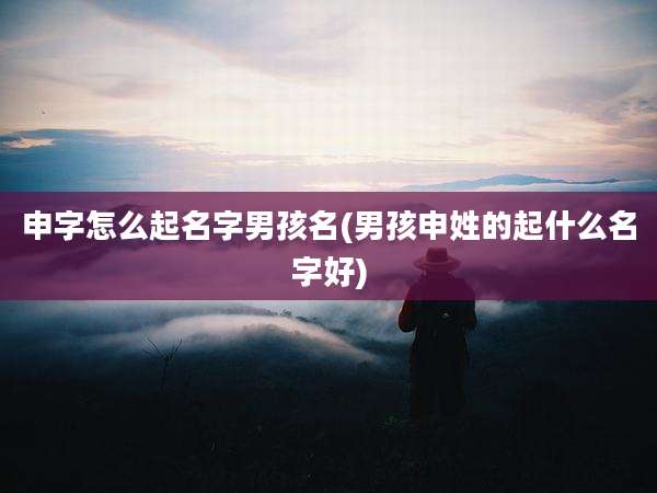 申字怎么起名字男孩名(男孩申姓的起什么名字好)