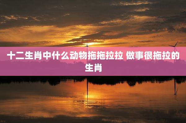 十二生肖中什么动物拖拖拉拉 做事很拖拉的生肖