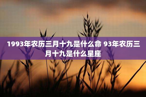 1993年农历三月十九是什么命 93年农历三月十九是什么星座