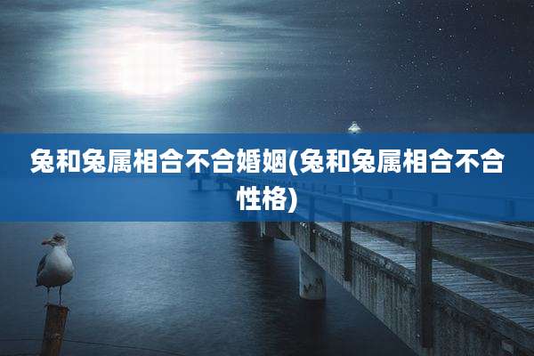 兔和兔属相合不合婚姻(兔和兔属相合不合性格)