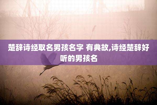 楚辞诗经取名男孩名字 有典故,诗经楚辞好听的男孩名