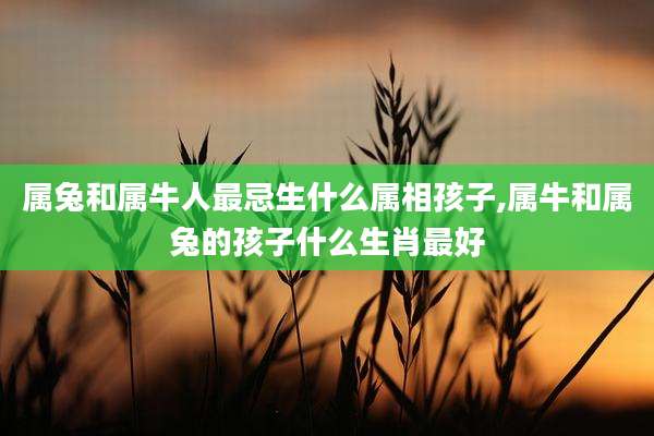 属兔和属牛人最忌生什么属相孩子,属牛和属兔的孩子什么生肖最好