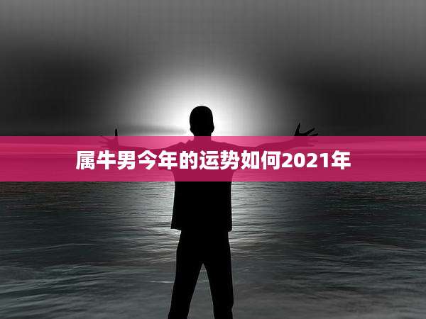 属牛男今年的运势如何2021年