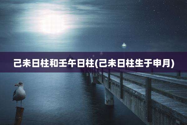 己未日柱和壬午日柱(己未日柱生于申月)