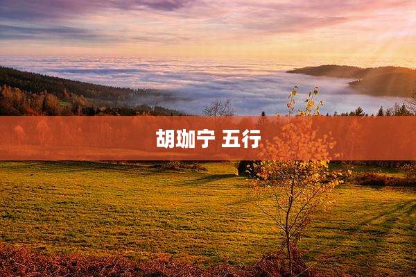 胡珈宁 五行