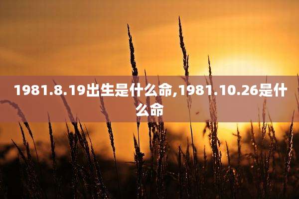 1981.8.19出生是什么命,1981.10.26是什么命