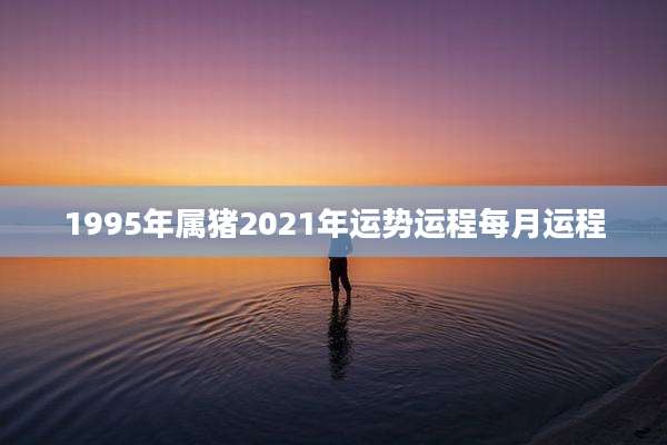 1995年属猪2021年运势运程每月运程