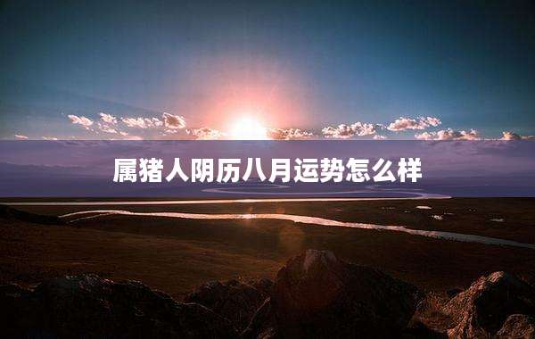 属猪人阴历八月运势怎么样