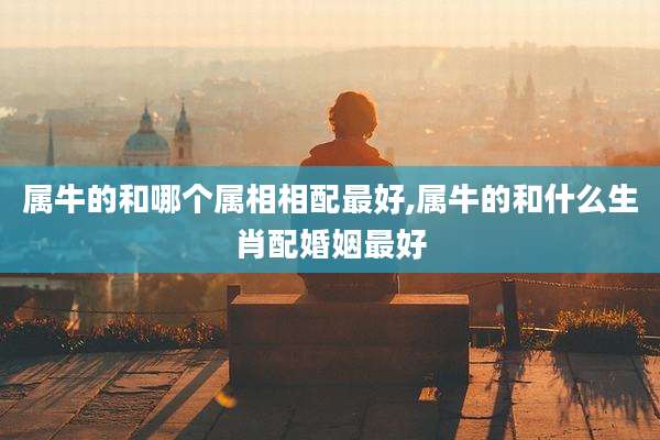 属牛的和哪个属相相配最好,属牛的和什么生肖配婚姻最好