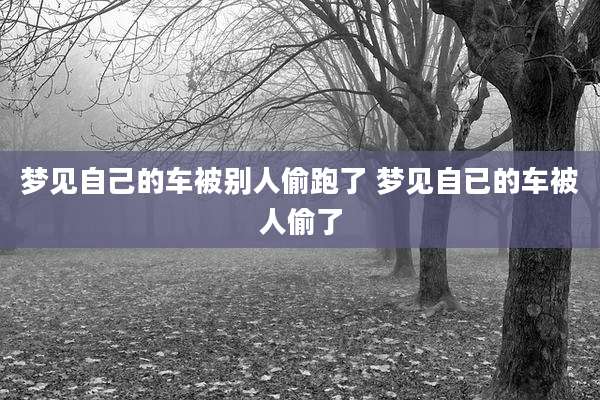 梦见自己的车被别人偷跑了 梦见自已的车被人偷了