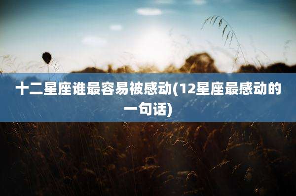 十二星座谁最容易被感动(12星座最感动的一句话)