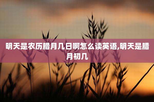 明天是农历腊月几日啊怎么读英语,明天是腊月初几