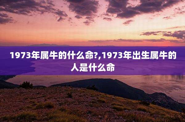1973年属牛的什么命?,1973年出生属牛的人是什么命