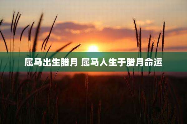 属马出生腊月 属马人生于腊月命运