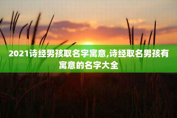 2021诗经男孩取名字寓意,诗经取名男孩有寓意的名字大全