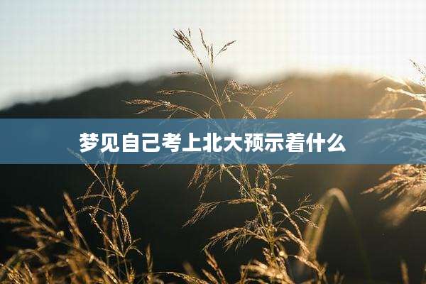 梦见自己考上北大预示着什么