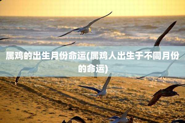 属鸡的出生月份命运(属鸡人出生于不同月份的命运)