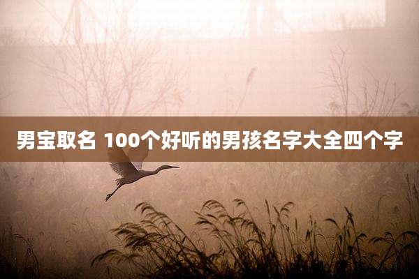 男宝取名 100个好听的男孩名字大全四个字