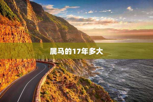 属马的17年多大